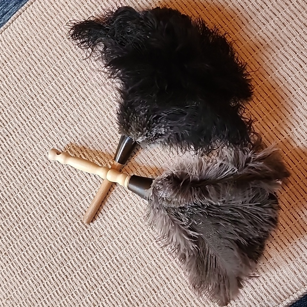 Feather Dusters (2)